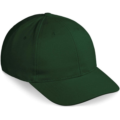 ALT-PBP-DG1